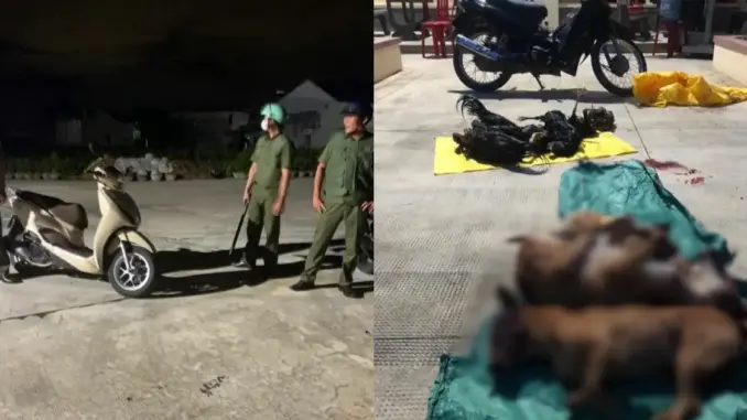Nhóm trộm chó vứt xe bỏ chạy khi phát hiện công an tuần tra Nhóm trộm chó vứt xe bỏ chạy khi phát hiện công an tuần tra