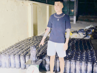 Bắt giữ thanh niên vận chuyển trái phép 384 bình khí cười
