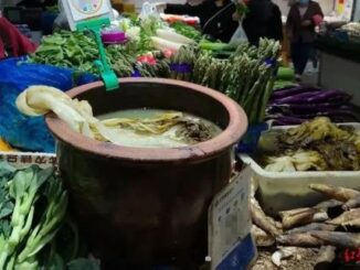 2 vợ chồng cùng m:.ắ:.c UT vì một món rau người Việt rất thích