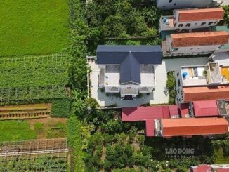 Đất nông nghiệp tự khai hoang trước 1.7.2014 được cấp sổ đỏ?