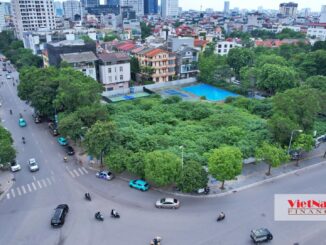 Cận cảnh ‘đất vàng’ Hà Nội bỏ hoang suốt hai thập kỷ, bị sử dụng sai mục đích
