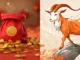 Từ tay trắng dựng nghiệp, 4 con giáp vươn lên thành đ ại gia trong nửa cuối năm 2025