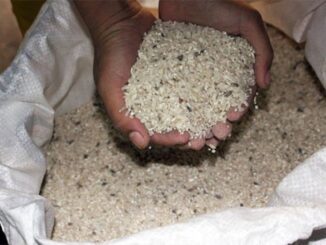 Một người bất cẩn, cả nhà có thể mắc uпg thư nếu còn bảo quản gạo theo 5 kiểu “tự đầu độ:c” này