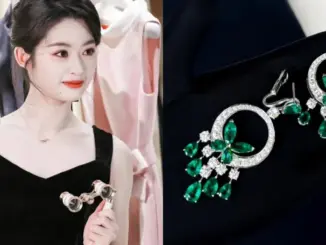 Tiểu Triệu Lệ Dĩnh phông bạt, bông tai 8 tỷ là đồ giả, kết quả điều tra mới sốc
