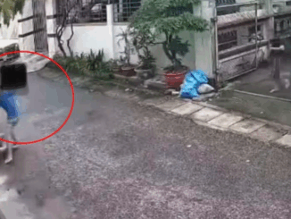 Bố ruột chém con gái trọng thương ở Hải Phòng: Hé lộ nguồn cơn đầy phẫn nộ