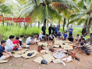 Triệt phá trường gà sát phạt hơn 1,6 tỷ đồng ở Cần Thơ, tạm giữ hình sự 8 người