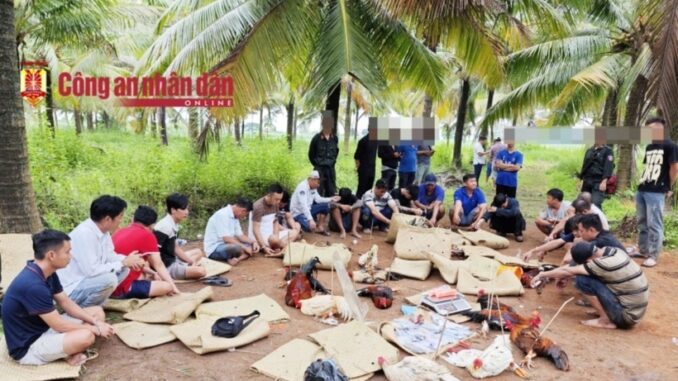 Triệt phá trường gà sát phạt hơn 1,6 tỷ đồng ở Cần Thơ, tạm giữ hình sự 8 người