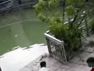 2 bé trai tử vong thương tâm dưới giếng nước ở Hà Nội