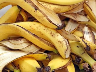 Lợi ích và công dụng của vỏ chuối ít người biết
