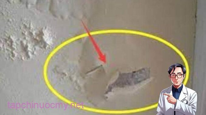Mẹo xử lý tường nhà mốc lở, bong tróc: Cực dễ, không tốn tiền, nhà nào cũng làm được