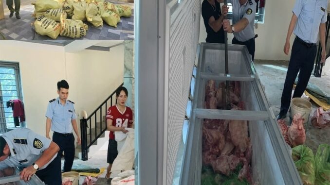 Tạm giữ hình sự 4 đối tượng định bán 1.600kg thịt nhiễm dịch tả lợn châu Phi Tạm giữ hình sự 4 đối tượng định bán 1.600kg thịt nhiễm dịch tả lợn châu Phi