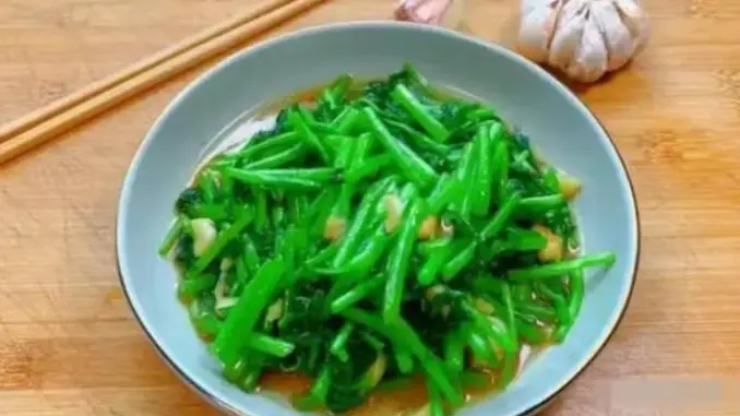 Loại rau bổ gan, ăn thường xuyên ngủ ngon giấc, sức khỏe dẻo dai, ít ốm vặt Loại rau bổ gan, ăn thường xuyên ngủ ngon giấc, sức khỏe dẻo dai, ít ốm vặt