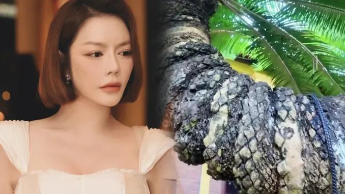 Nhà Lý Nhã Kỳ có 1 "bảo vật" 4 đầu, thân mọc vảy rồng, bảo sao giàu vậy! Nhà Lý Nhã Kỳ có 1 "bảo vật" 4 đầu, thân mọc vảy rồng, bảo sao giàu vậy!