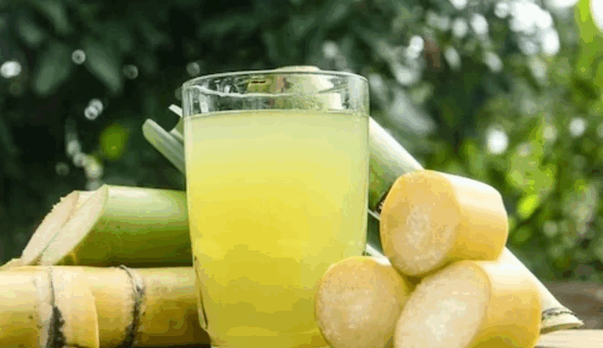 Nguy kịch vì tin lời đồn: Uống nước mía để trị tiểu đường Nguy kịch vì tin lời đồn: Uống nước mía để trị tiểu đường