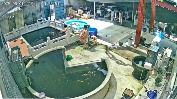 Vụ chồng bị vợ đạp xuống hồ cá Koi gây sốc: Người chồng đăng full clip, nói thật toàn bộ lý do Vụ chồng bị vợ đạp xuống hồ cá Koi gây sốc: Người chồng đăng full clip, nói thật toàn bộ lý do