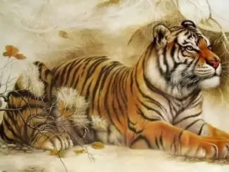 Chạy Trời không thoát khỏi số phận: 2 tuổi đổi đời giàu nứtt vách 10 ngày tới, 1 tuổi xui xẻo