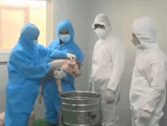 Báo động đỏ trên 30 tỉnh