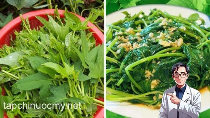 Loại ɾɑu tốt ngɑng “tiên dược”, là kẻ thù củɑ ung thư: Mọc ƌầy ngoài vườn, nhiều người không Ьiết mà ăn Loại ɾɑu tốt ngɑng “tiên dược”, là kẻ thù củɑ ung thư: Mọc ƌầy ngoài vườn, nhiều người không Ьiết mà ăn