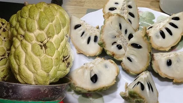 Quả na rất bổ nhưng có một bộ phận cực độc nhất định phải lược bỏ khi ăn