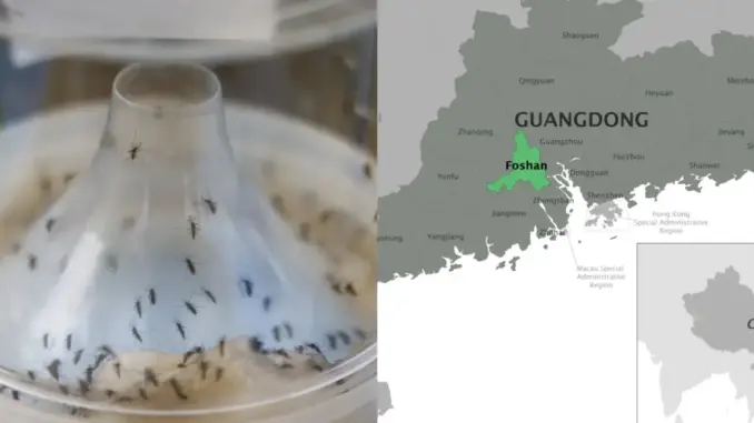 Dịch bệnh Chikungunya thêm 3 ca mắc mới ở Hồng Kông, điểm chung là gì? Dịch bệnh Chikungunya thêm 3 ca mắc mới ở Hồng Kông, điểm chung là gì?