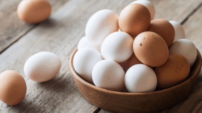 Trứng vỏ trắng hay nâu: Loại nào tốt hơn cho sức khỏe? Trứng vỏ trắng hay nâu: Loại nào tốt hơn cho sức khỏe?