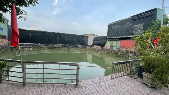 Người dân xót xa kể lại giây phút phát hiện hai anh em ruột tử vong dưới giếng ở Hà Nội: “Mọi hôm giếng đông người lắm, hôm ấy lại vắng…” Người dân xót xa kể lại giây phút phát hiện hai anh em ruột tử vong dưới giếng ở Hà Nội: “Mọi hôm giếng đông người lắm, hôm ấy lại vắng…”